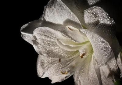 谁是谁的谁经典语录(推荐50句)