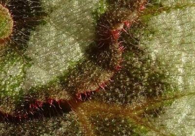 讽刺后妈的经典语录(汇总30句)