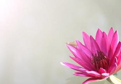 资本论经典语录(精选30句)