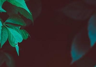 认清一个人的经典语录(推荐60句)