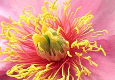 跟对人做对事经典语录(89句)