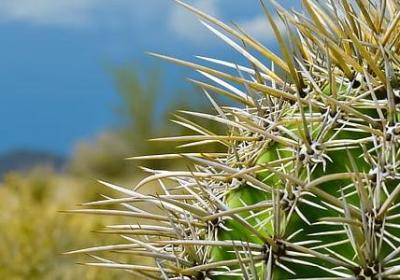 赞美老人的话经典语录(热门40句)