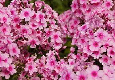 说话留三分经典语录(实用70句)