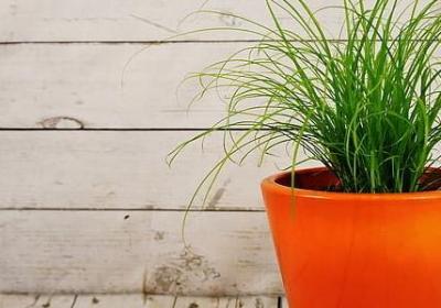 茶馆 老舍经典语录(精选60句)