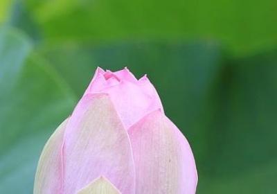 销售说说语录经典语录(必备50句)