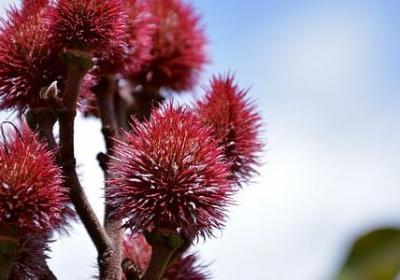 酷酷的滕经典语录(精选40句)