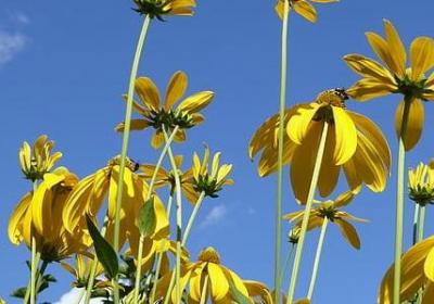 面子值几个钱经典语录(36句)