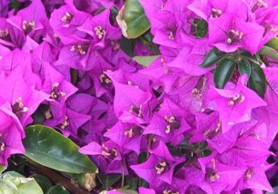 遇见你之前经典语录(必备20句)