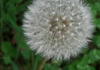 金星说女人的经典语录(推荐90句)