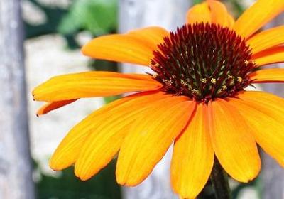 镇魂街经典语录(必备50句)