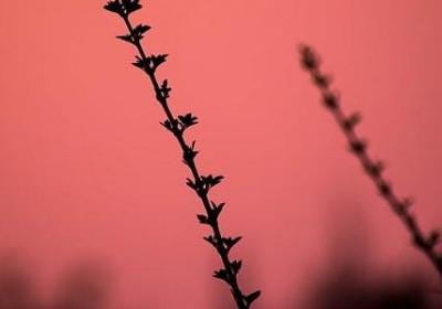 骑行语录经典语录(必备50句)