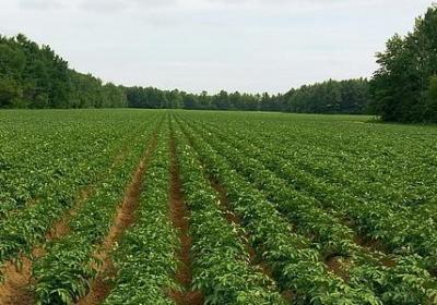 青春匆匆经典语录(通用60句)