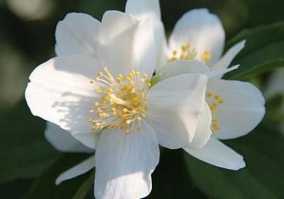 陈道明语录经典语录(精选50句)