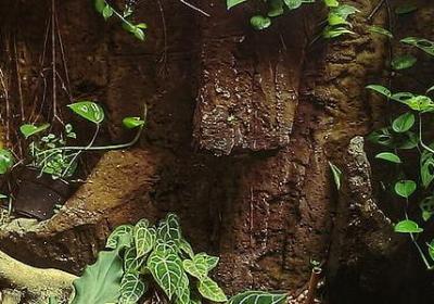 风中的纸屑经典语录(必备40句)