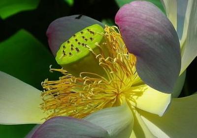 陈冠希经典语录(通用20句)