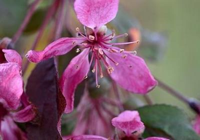 道语经典语录(热门50句)