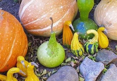 销售心灵鸡汤经典语录(共40句)