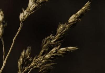 迟到的爱情经典语录(推荐50句)