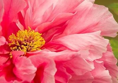 长情的人经典语录(共25句)