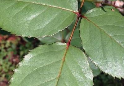 飘的经典语录100句(通用60句)