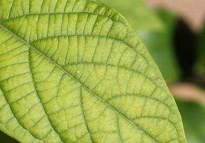 追风筝的人经典语录英文(合集35句)