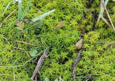 雨季不再来经典语录(必备40句)