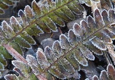 运动经典语录(汇总50句)