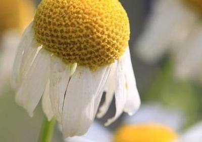 非主流经典语录(优选60句)