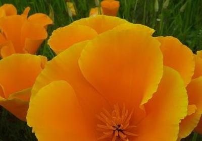 韩非经典语录(热门40句)