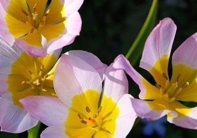 道德修养的经典语录(共50句)