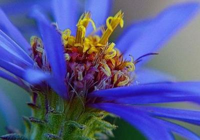 骂村官的经典语录(推荐40句)