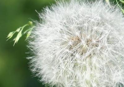 钱难挣的经典语录(50句)