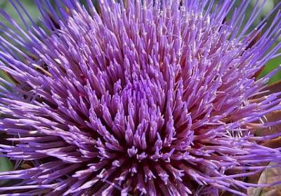 霸王别姬的经典语录(通用70句)