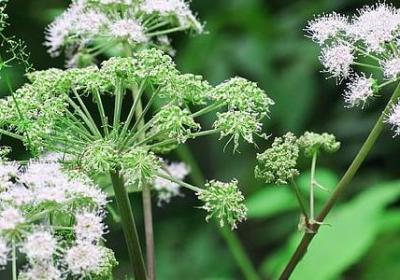 酒后失态后悔经典语录(实用50句)