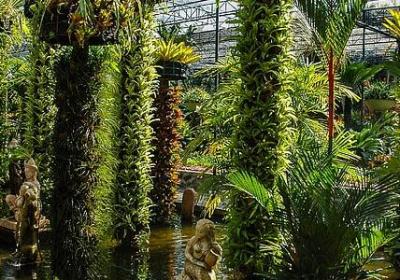 青春经典语录(热门50句)