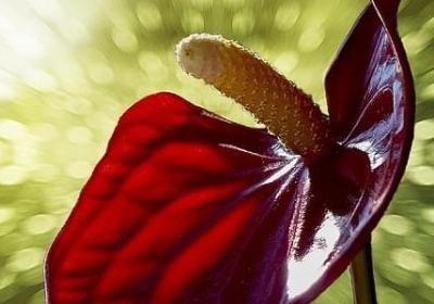 返老还童经典语录(精选50句)