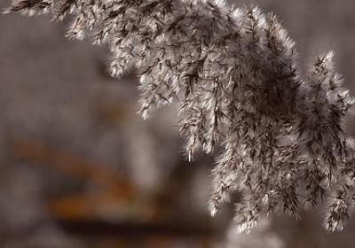 雪中送炭的经典语录(优选40句)