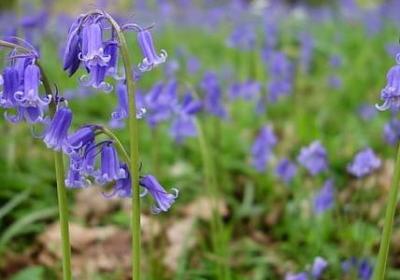 遗言经典语录(60句)