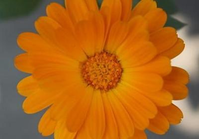 骂熊孩子经典语录(80句)