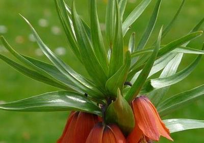 顾里的经典语录(必备50句)