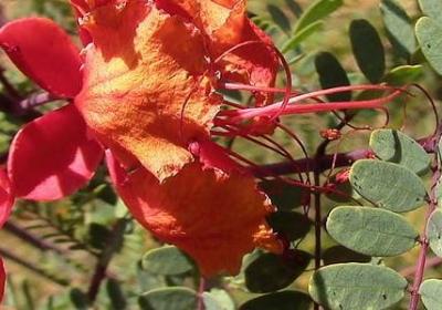 过去现在将来经典语录(汇总80句)