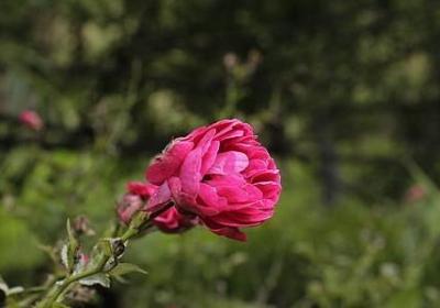 过去和未来的经典语录(必备30句)