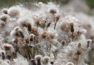 送给懒人的经典语录(通用70句)