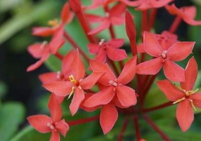 重出江湖的经典语录(热门60句)