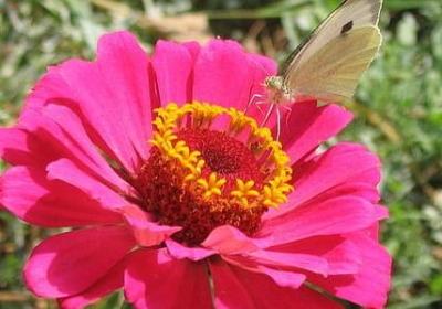 青春咖啡馆经典语录(合集40句)