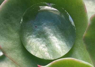 金庸 经典语录(合集60句)