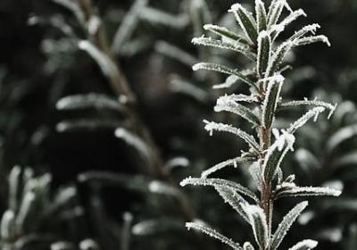 阿黛尔的生活经典语录(合集57句)