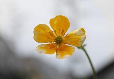 辩论赛经典语录(通用40句)