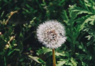 郭德纲说过的经典语录(共60句)