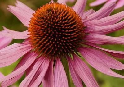 霍比特人经典语录(38句)